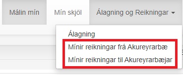 Skjámynd úr íbúagáttinni