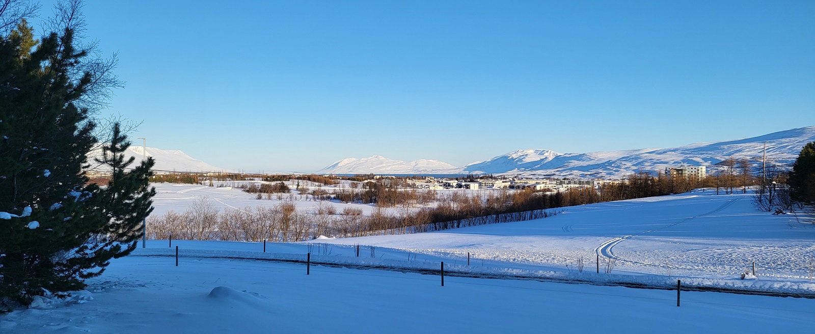 Mynd tekin úr Naustaborgum og Akureyri og Eyjafjörður í bakgrunni. Sól og snjór, blátt og hvítt ráðandi litir