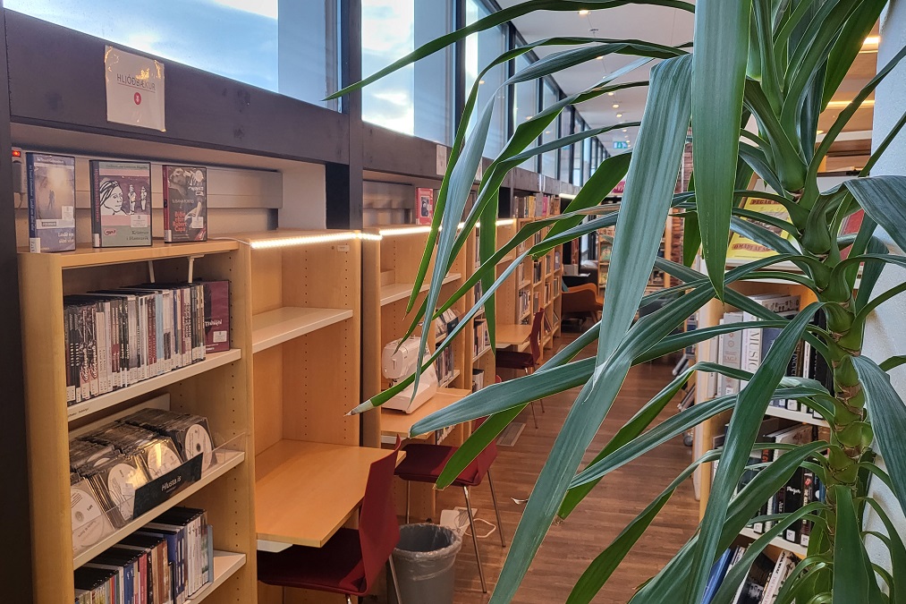 Mynd úr Amtsbókasafninu á Akureyri - planta í forgrunni