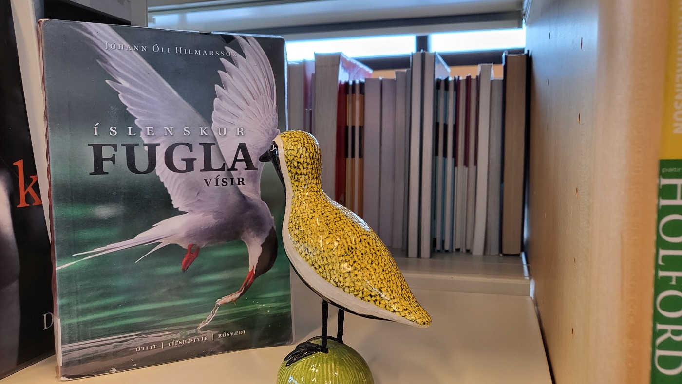 Mynd af lóustyttu við Íslenska fuglavísirinn