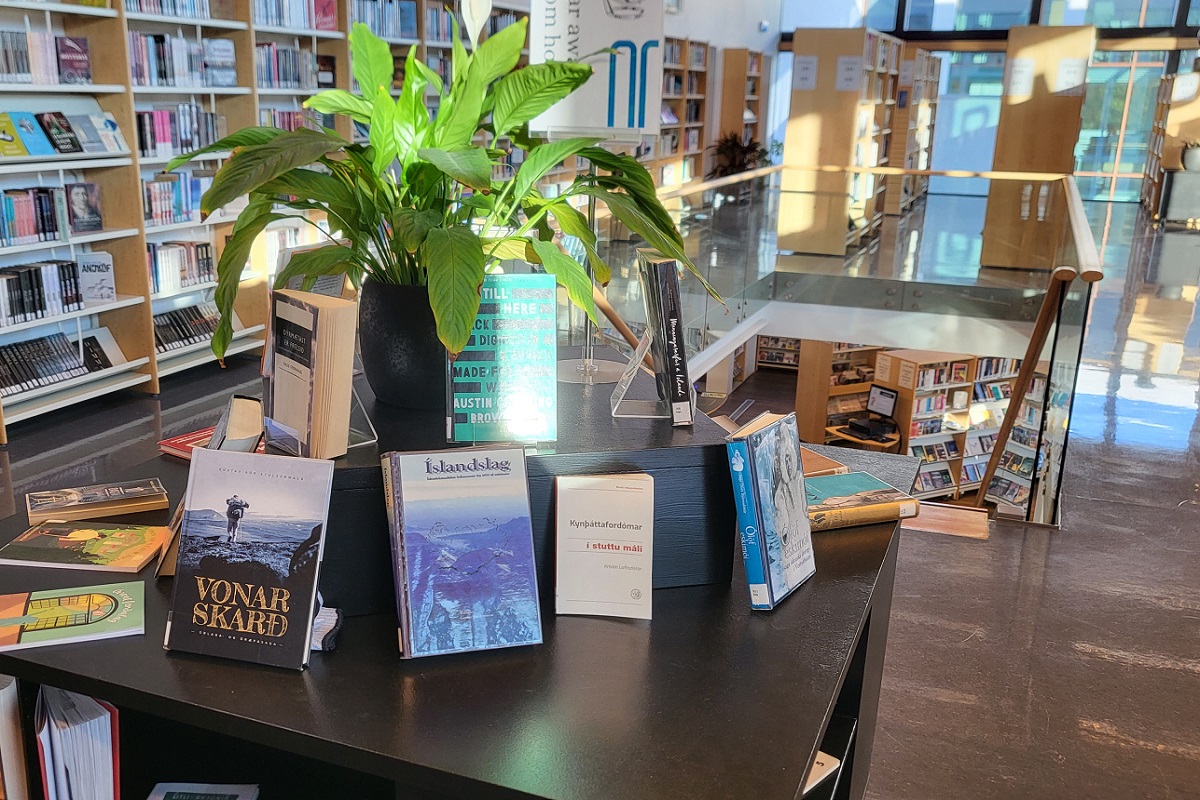 Mynd af útstilltum bókum á borði