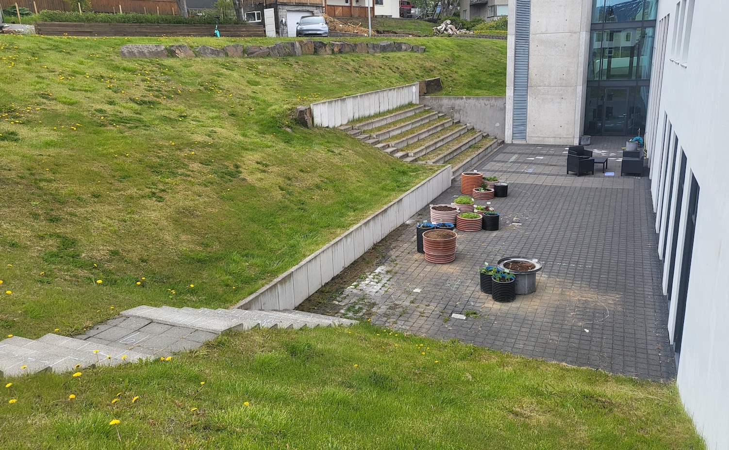 Picture of the library's backyard
