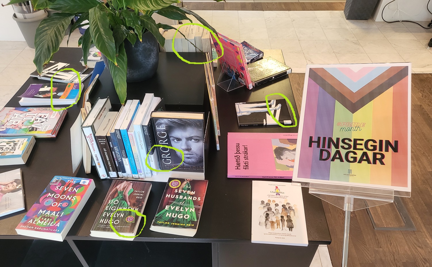 Books on display table plus one plant