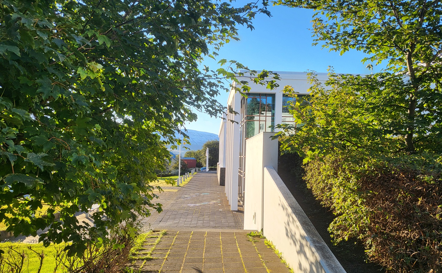A library in the autumn sun