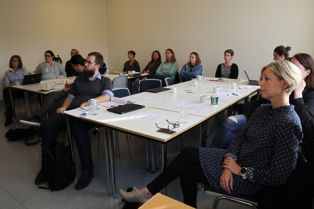 Frá málstofu um kynferðislega áreitni í heilbrigðisgeiranum Frá málstofu um kynferðislega áreitni í heilbrigðisgeiranum