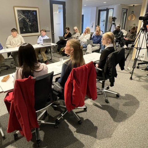Bæjarstjórnarfundur unga fólksins 25. mars 2025