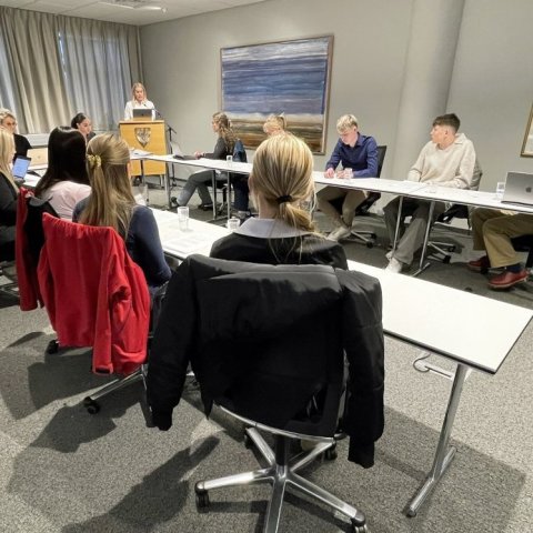 Bæjarstjórnarfundur unga fólksins 25. mars 2025