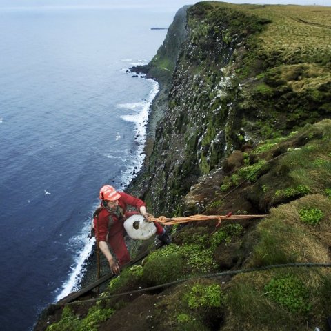 grimsey_fridthjofur4.jpg