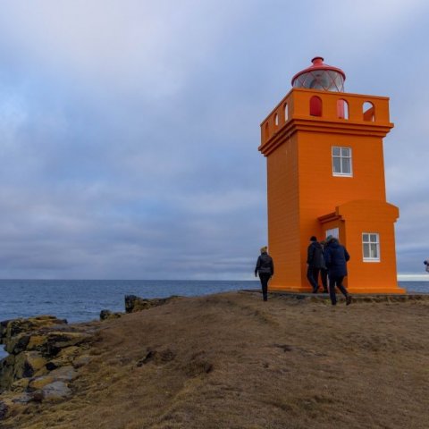 _89a8477.jpg