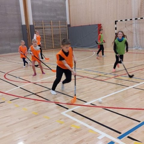 Fjölgreindarleikar 2023 í Glerárskóla