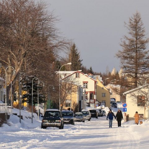 gonguleid-17.jpg