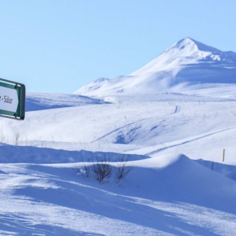 gonguleid-21.jpg
