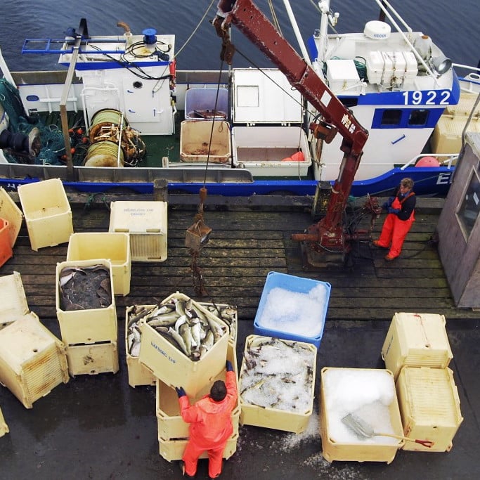 grimsey_fridthjofur5