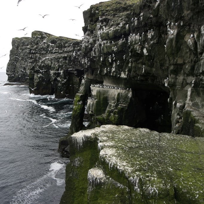 grimsey_fridthjofur9