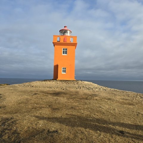 Vitinn