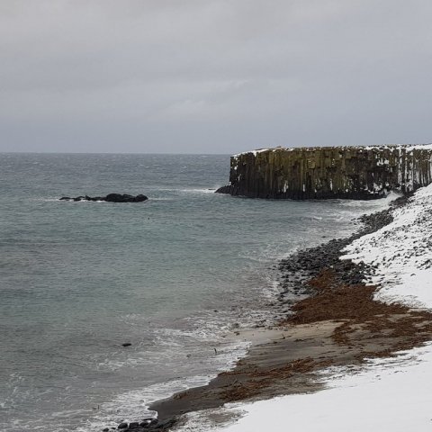 grimsey-13.jpg