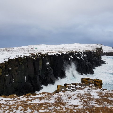 grimsey-14.jpg