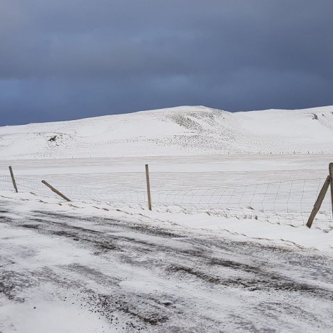 grimsey-2.jpg