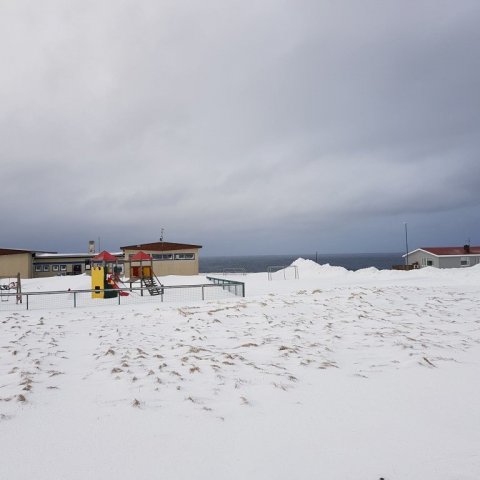 grimsey-6.jpg