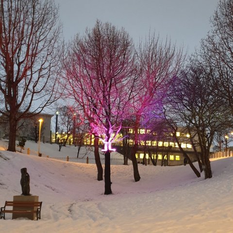 Jólalegt á Akureyri