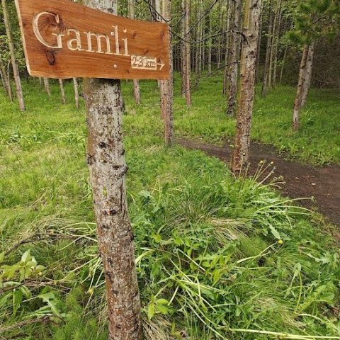 Vegvísir mynd Gunnar Jarl Gunnarsson 5.jpg
