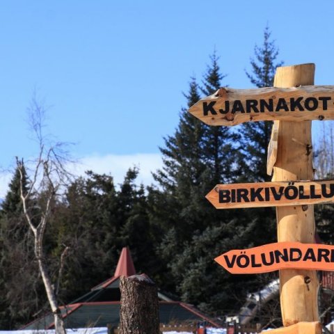 Skilti í skóginum