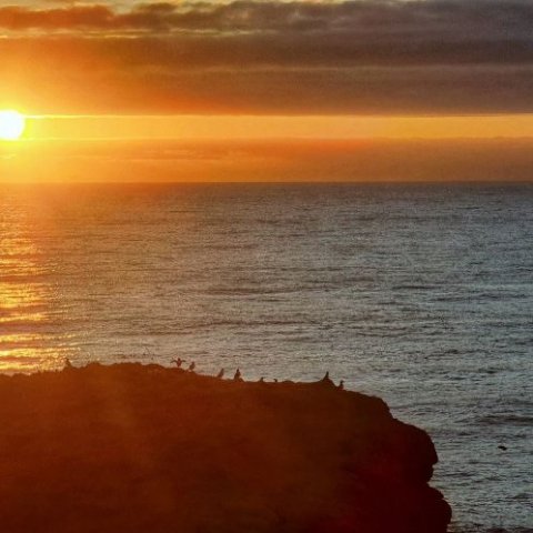 grimsey-lundi1.jpg
