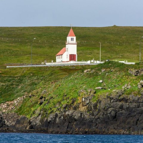 brad-pedersen-2016_024.jpg