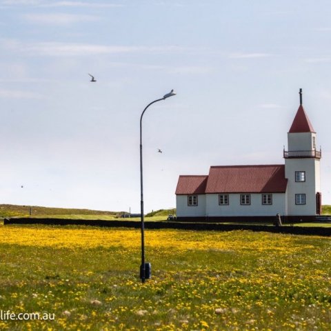 jack-hochfeld-1.jpg