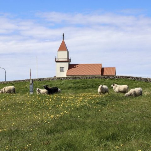 maria-tryggvadottir-1.jpg