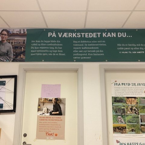 Novu14.jpeg