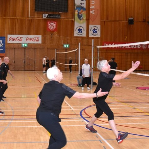 Allt á fullri ferð.