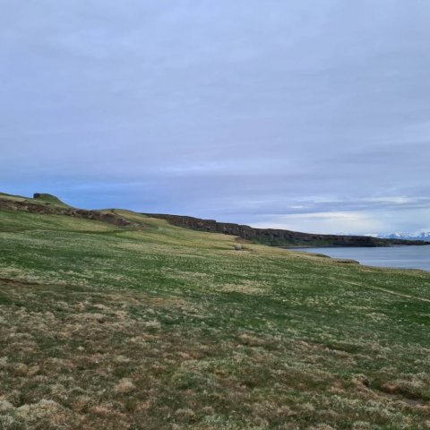 Heimskautsbaugurinn og Orbis et Globus