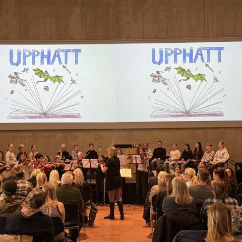 Keppnin var haldin í hátíðarsal Háskólans á Akureyri og var þetta í 24. skipti sem hún fer fram.