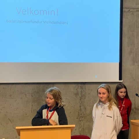 Bæjarstjórnarfundur Vísindaskólans