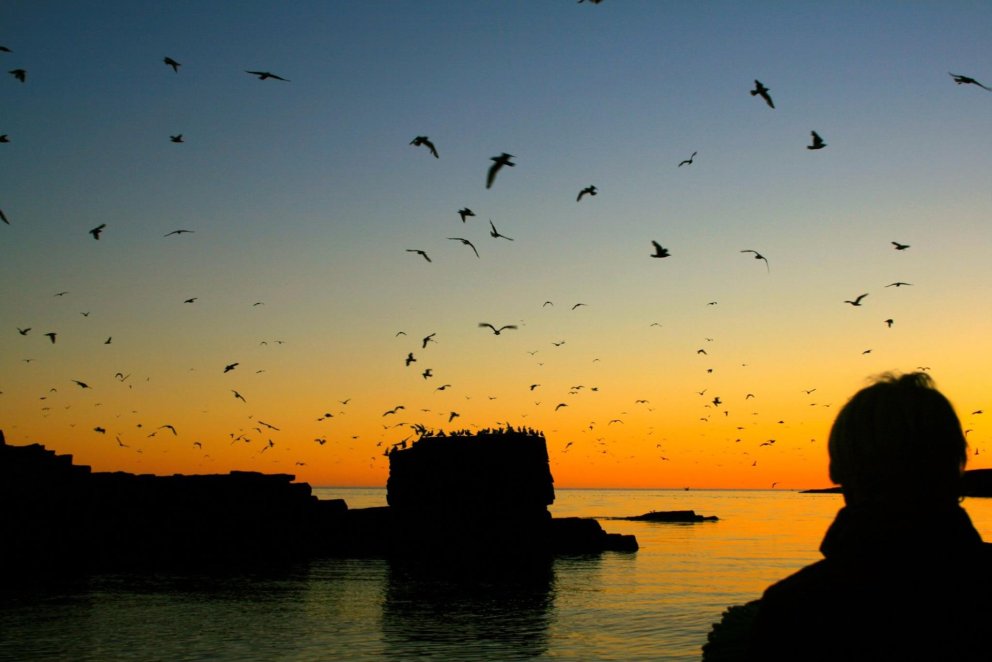 Ljósmynd: Valgerður Ósk Ómarsdóttir.