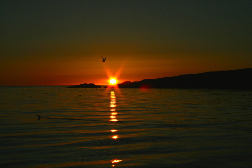 Mynd: Valgerður Ósk Ómarsdóttir