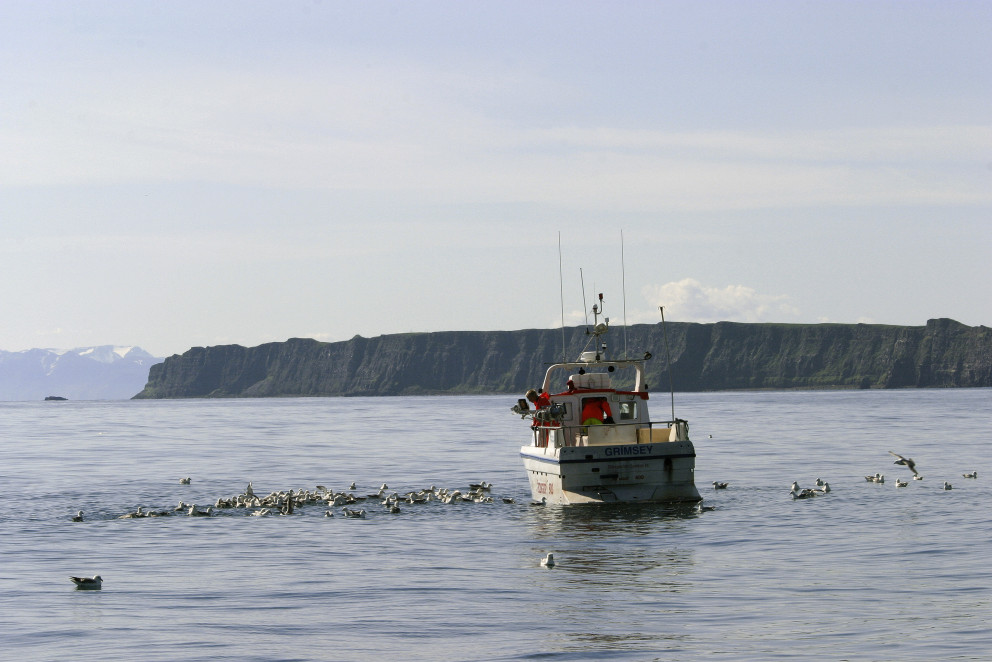 Mynd: Friðþjófur Helgason.