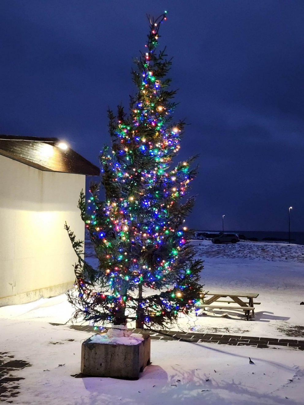 Mynd: Anna María Sigvaldadóttir