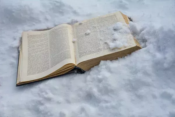 Books, snow and cold