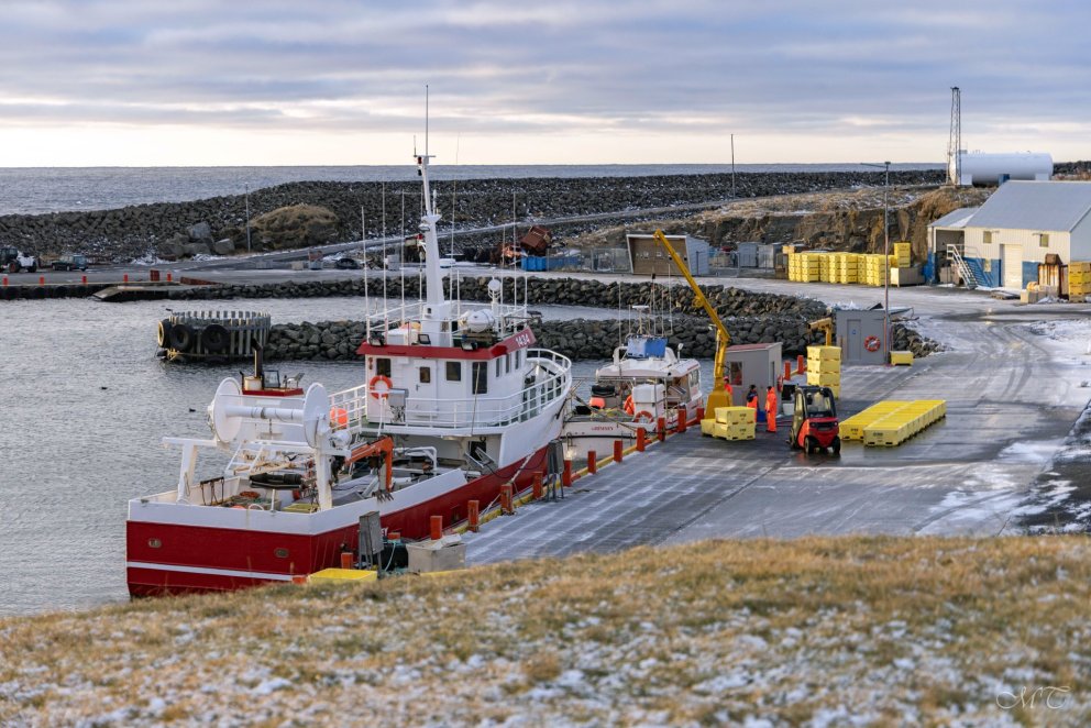 Frá höfninni í Grímsey. Mynd: María Helena Tryggvadóttir.