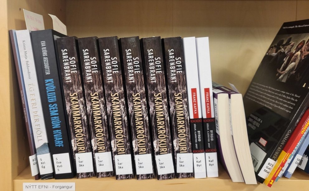 Process of library holdings