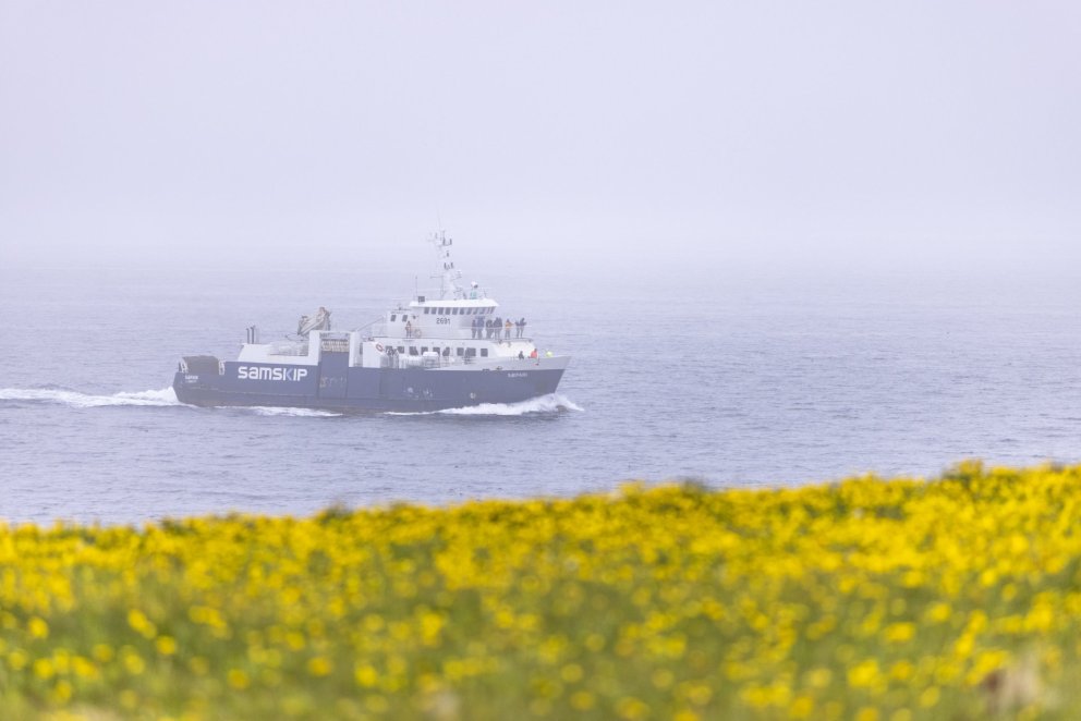 Mynd: María Helena Tryggvadóttir