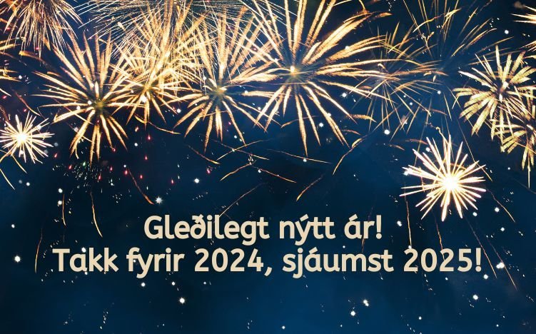 Gleðilegt nýtt ár!