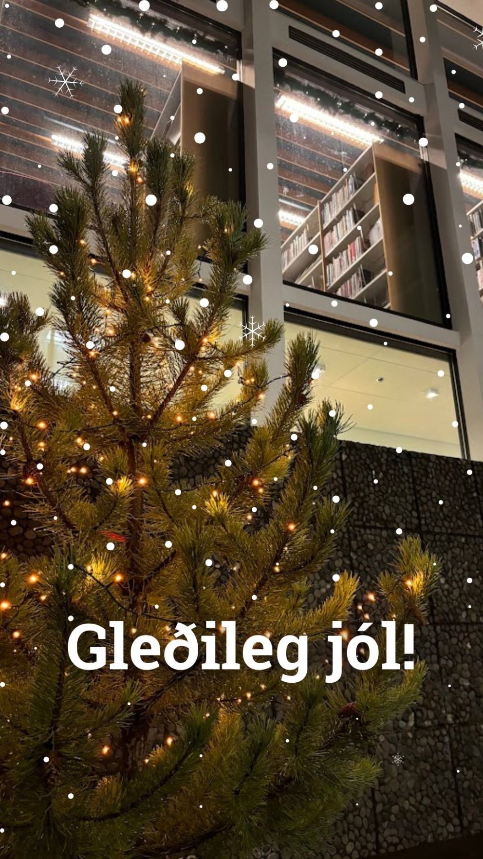 GLEÐILEG JÓL 2024!