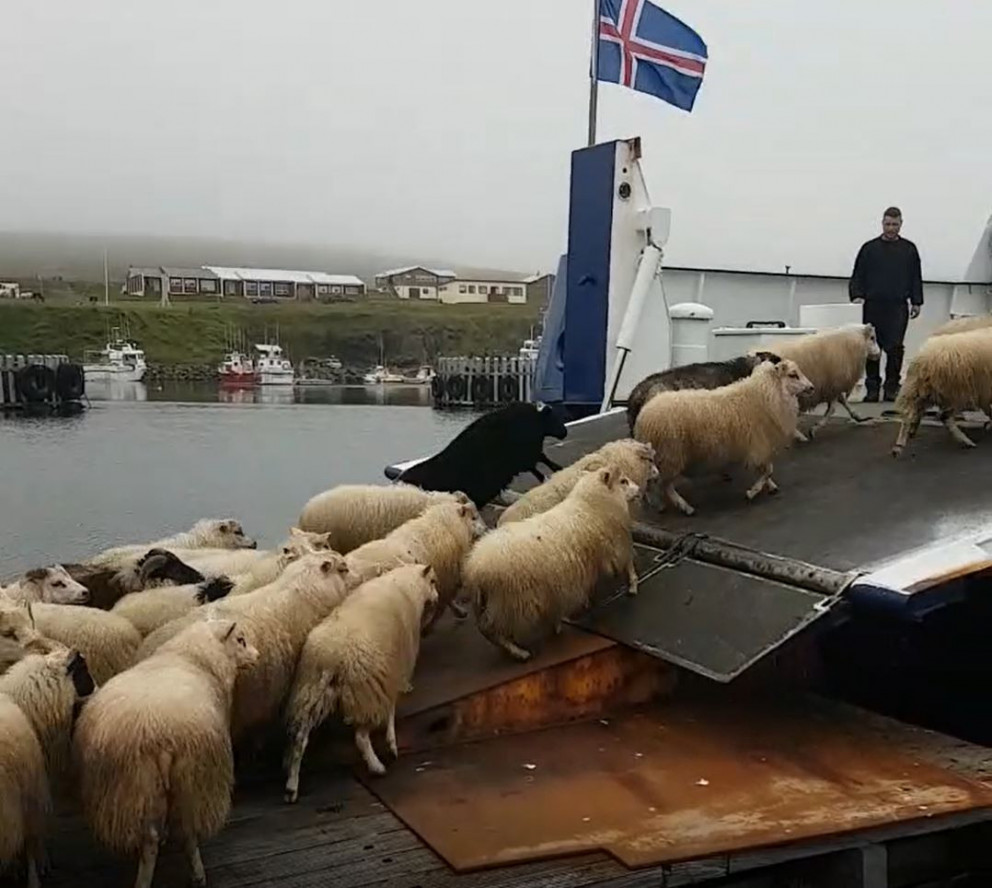 Mynd: Halla Ingólfsdóttir