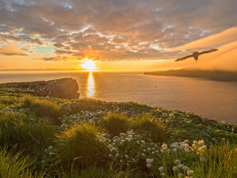 Styrktartónleikar - Sól rís í Grímsey