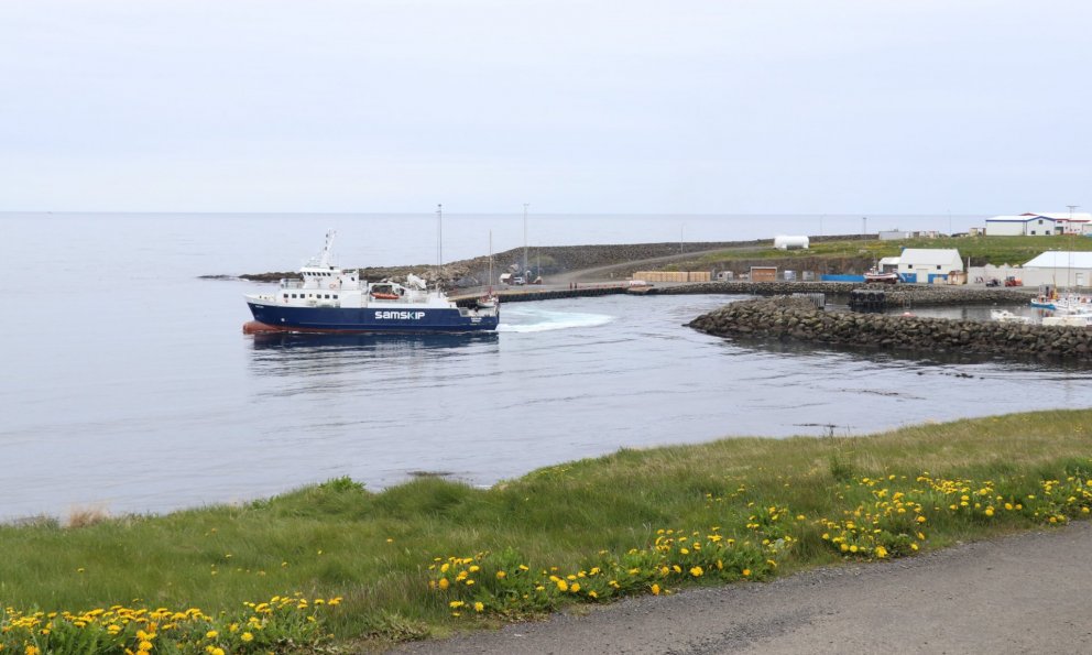 Mynd: María H. Tryggvadóttir