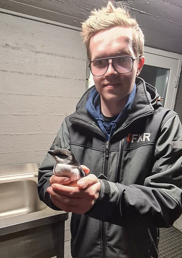 Myndir: Anna María Sigvaldadóttir. Á myndinni má sjá Bjarni Reykjalín Magnússon með fuglinn fyrir ut…