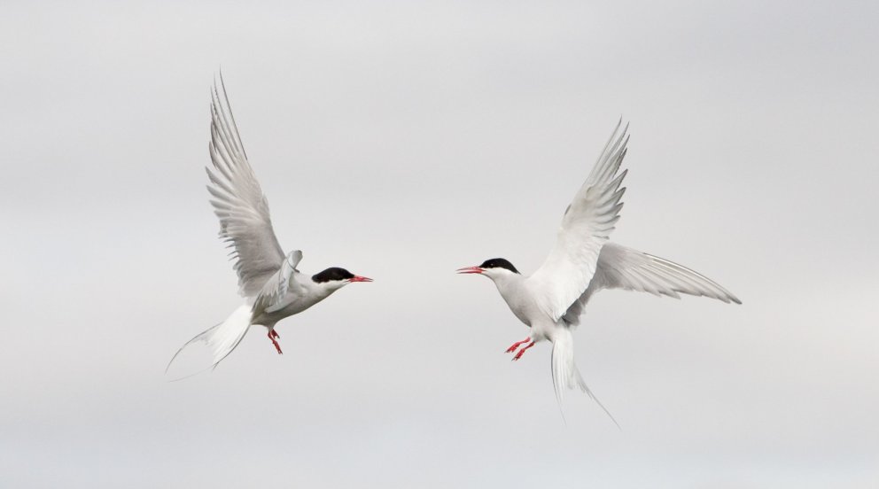 Mynd: Eyþór Ingi Jónsson